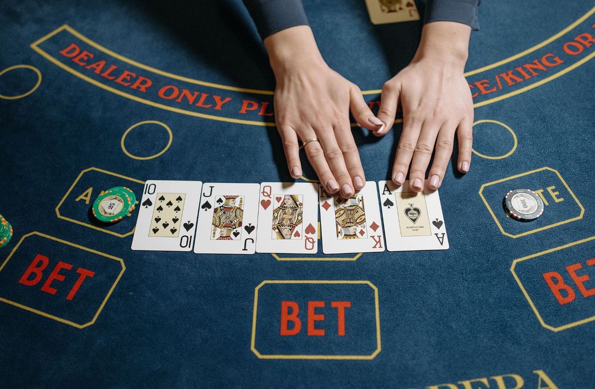 Penguin Palooza Slot Live Casino